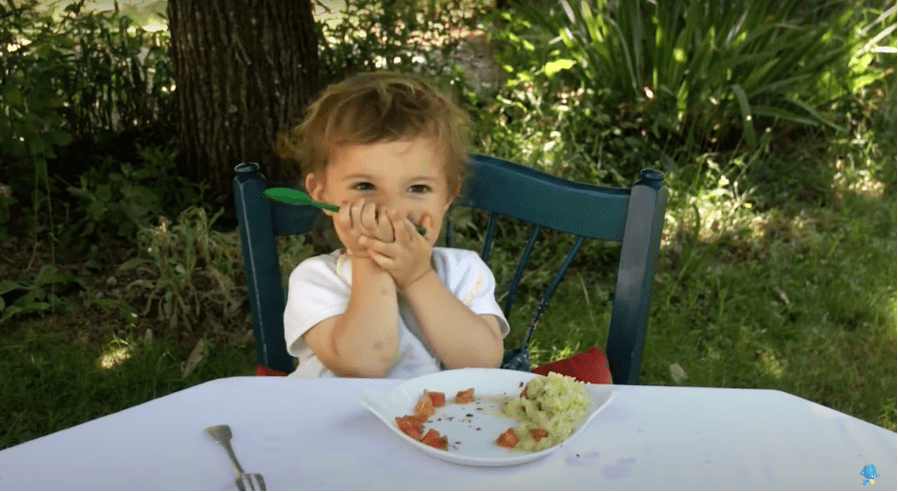 Importância dos padrões alimentares da família para o bebé