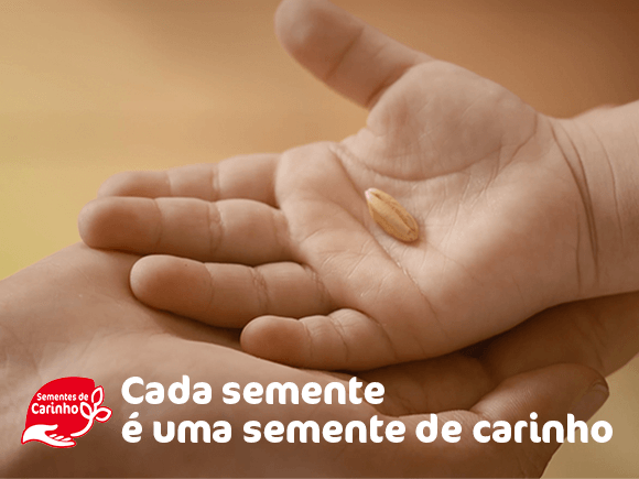 sementes de carinho