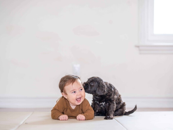 Crianças e animais