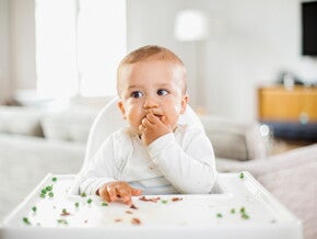 nutrientes para bebé nutrientes para bebé