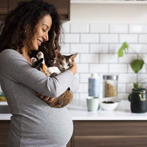Toxoplasmose na Gravidez: O Que É, Sintomas, Riscos e Como Prevenir Toxoplasmose na Gravidez: O Que É, Sintomas, Riscos e Como Prevenir