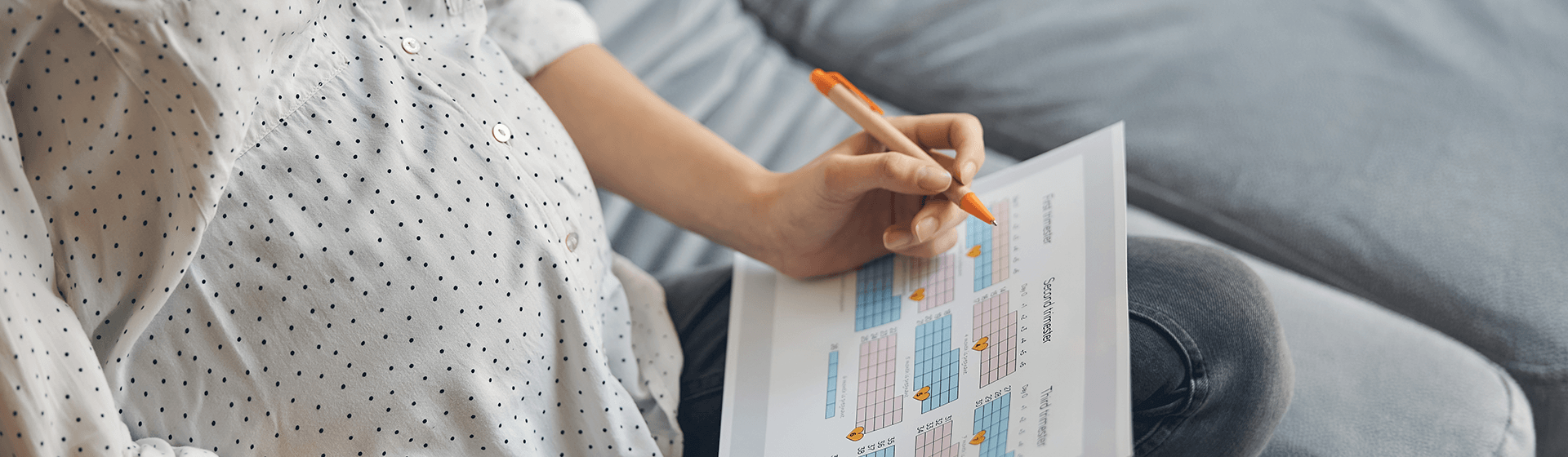 A minha gravidez semana a semana A minha gravidez semana a semana